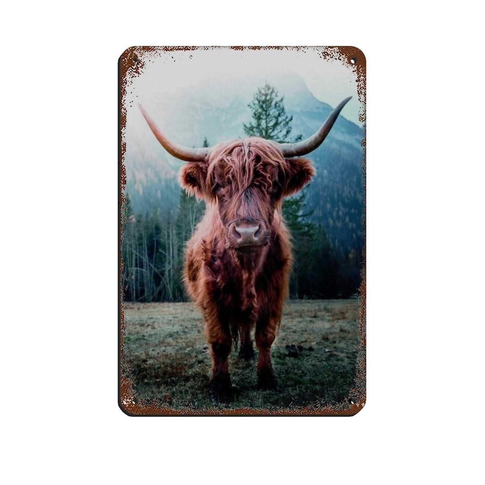 Highland Cow, Scotland Cow Poster, Retro Poster Metal Tin Sign Chic Art Retro Iron Painting Bar People Cave Cafe Family Garage Poster Wall Decoration 8x12inch(20x30cm)