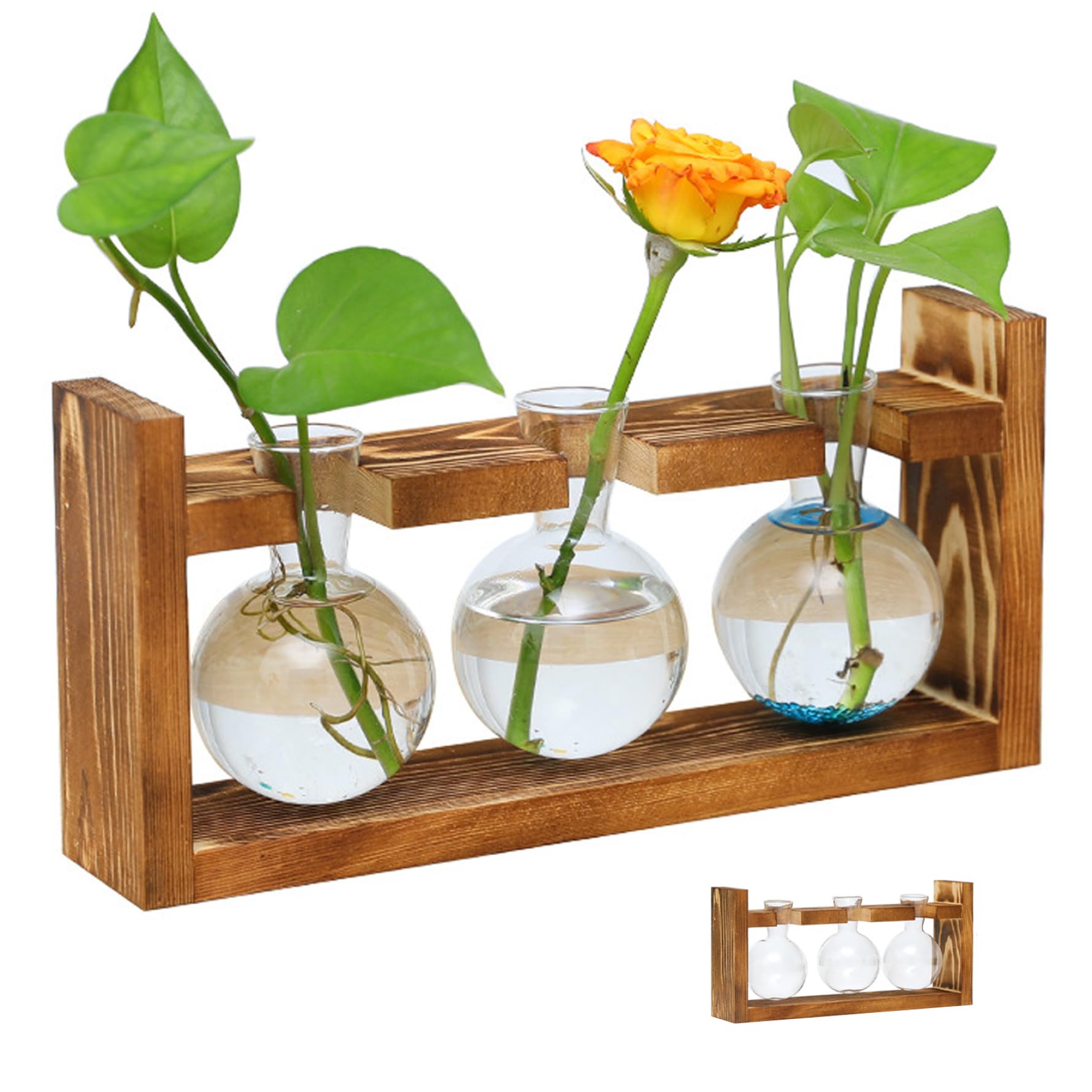 Station de propagation des plantes originale à offrir pour le bureau