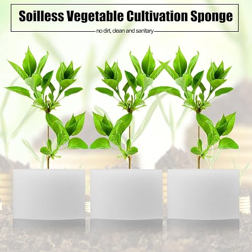 Miniatura 5 de ViaGasaFamido 50 esponjas hidropónicas sin suelo, plántulas plantadas, sistema de cultivo de vegetales hidropónicos, herramienta de caja de