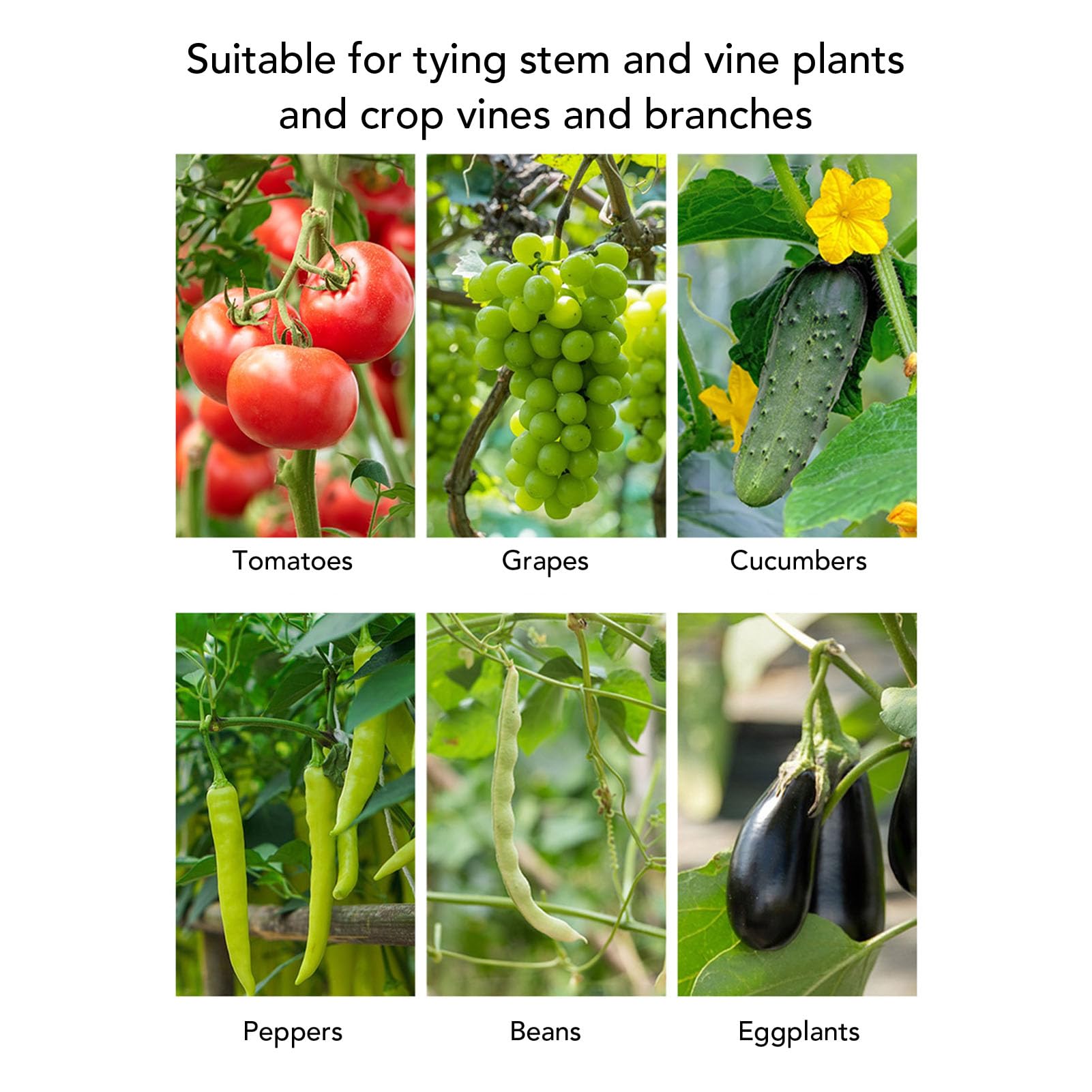 Ausla Pflanzenbindemaschine Stahl SK5 Gartenbandwerkzeug mit 10 Bandrollen und 1000 Nägeln Zeitsparender Ergonomischer Griff für Tomaten, Gurken, Trauben, Landwirte, Gärtner (Schwarz und Rot 10