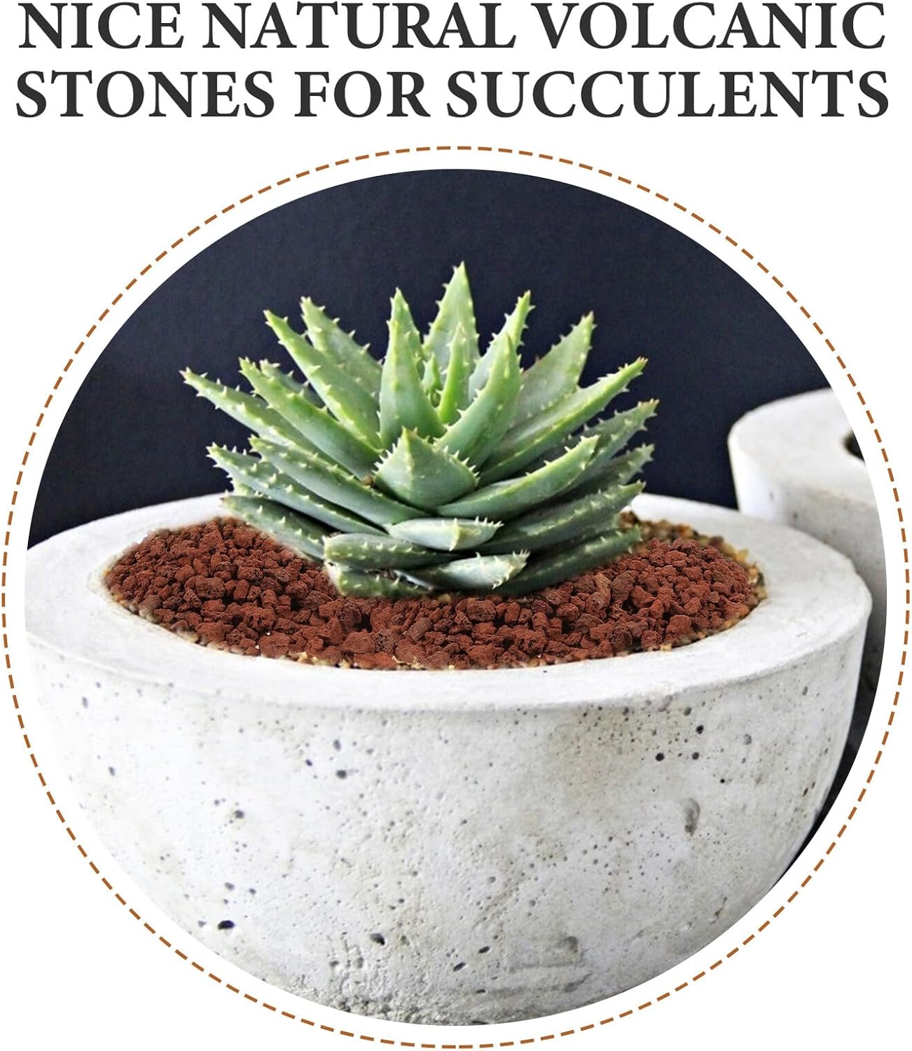 SUPVOX Volcanic Stone for Flower Pot and Aquarium, Natural Volcanic Rock 5pcs 300g, Decorative Rocks for Fish Tank Landscaping and Succulent Plant Garden