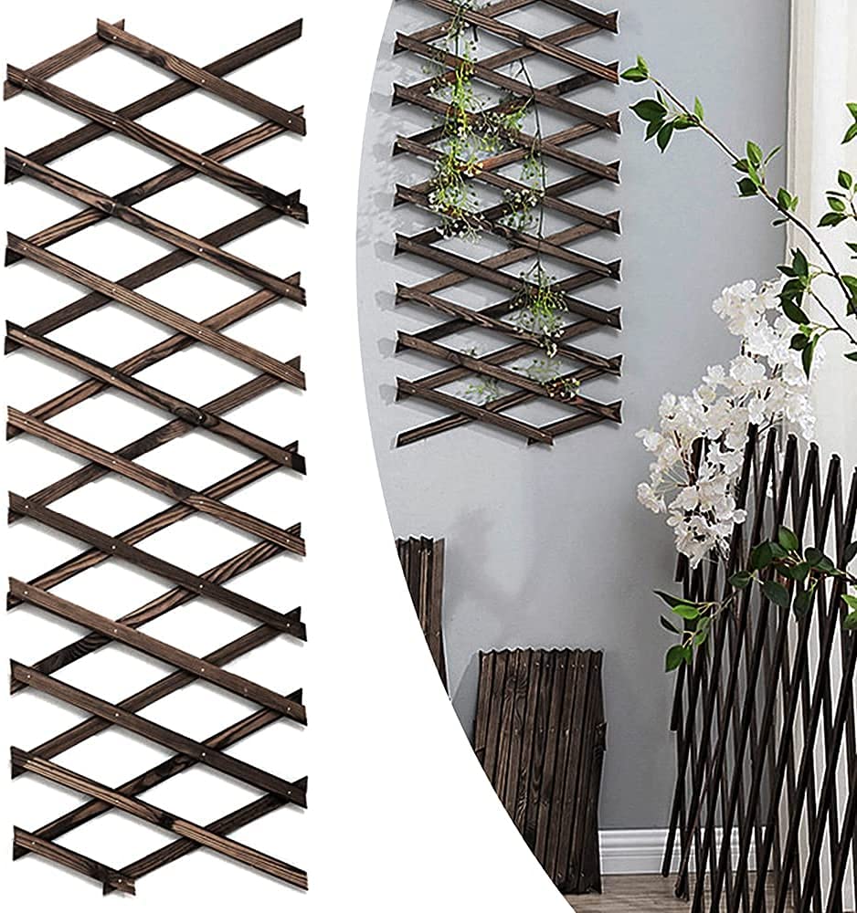 Buy Garden Trellis, 6.5ft × 1ft Wooden Expandable Climbing Lattices