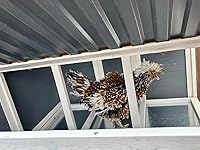 Review Image by Sarah H Sarah H
