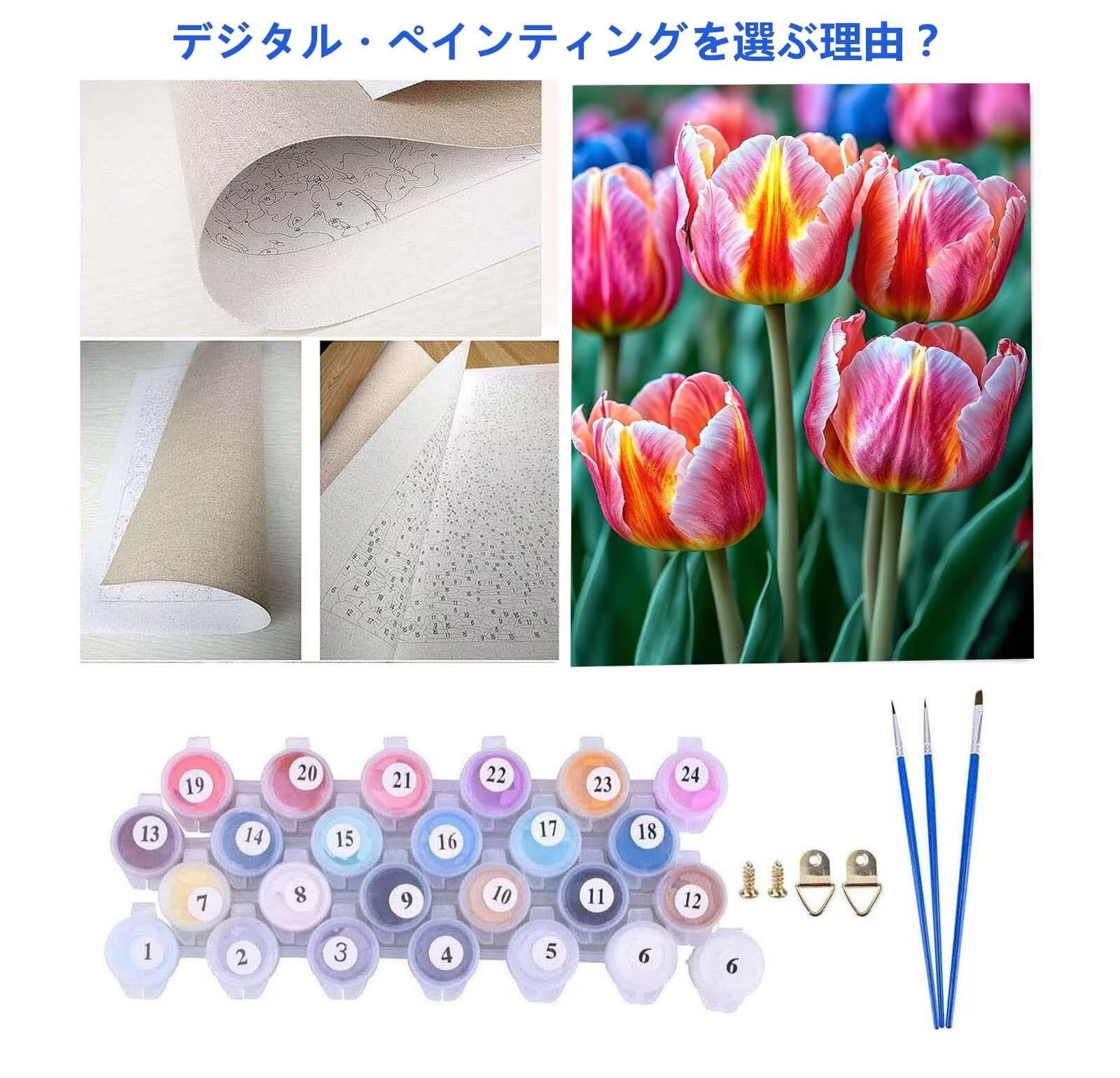 Amazon.co.jp: チューリップの花 ペイントバイナンバー 大人子供用 DIY