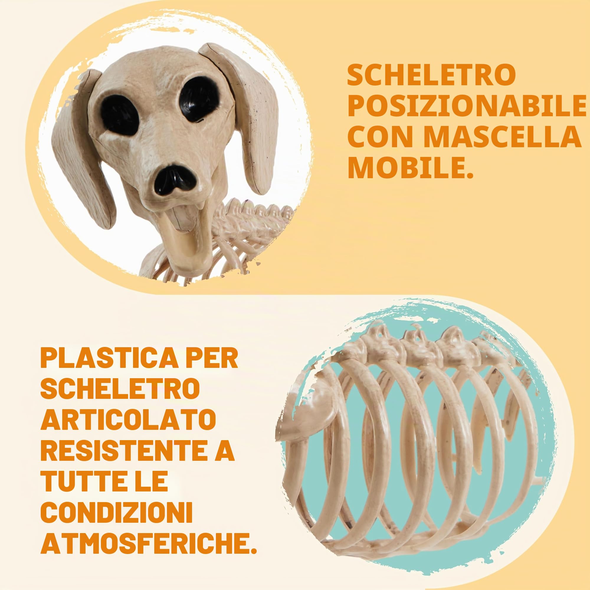 JOYIN Wiener - Scheletro di cane in plastica da 61 cm, scheletro snodabile, decorazioni per Halloween con giunti mobili, per scene di cimiteri, casa infestata, decorazione per feste, spettrale