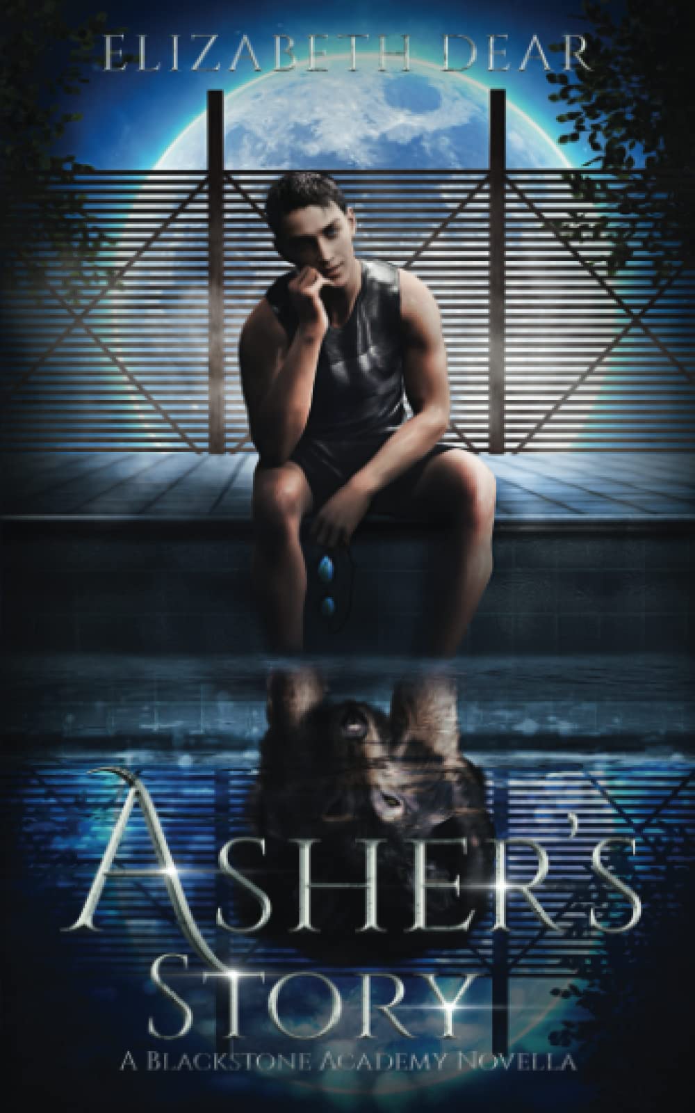Asher's Story: A Blackstone Academy Novella: 4
