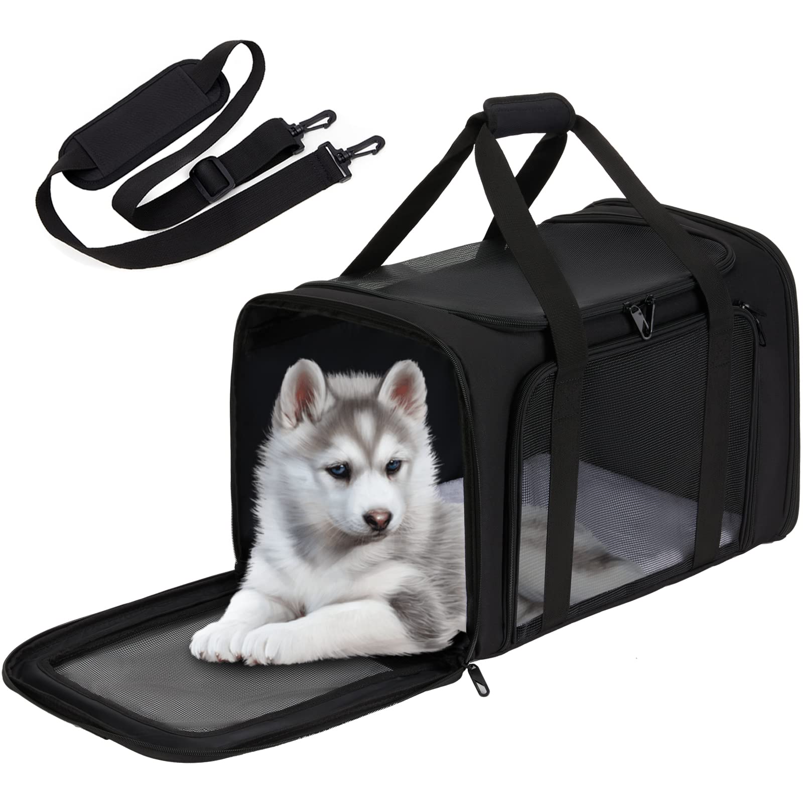 Buy Pet Carrier for Cat Travel Carrier, Zbrivier Large Cat Carrier for