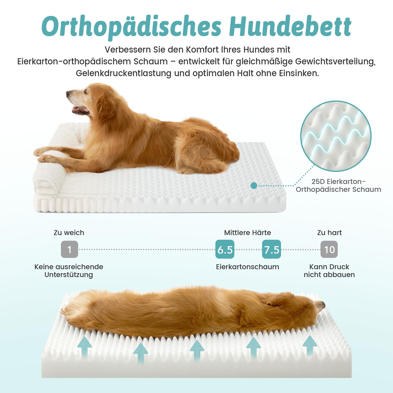 COZY KISS Orthopädisches Hundebett für Extra Große Hunde 110x80x17cm – Hundesofa mit Weichem Kunstfell & Cordbezug, Eierförmiger Kistenschaum, Ergonomischer Hundekorb, Abnehmbar & Waschbar, Creme, XL