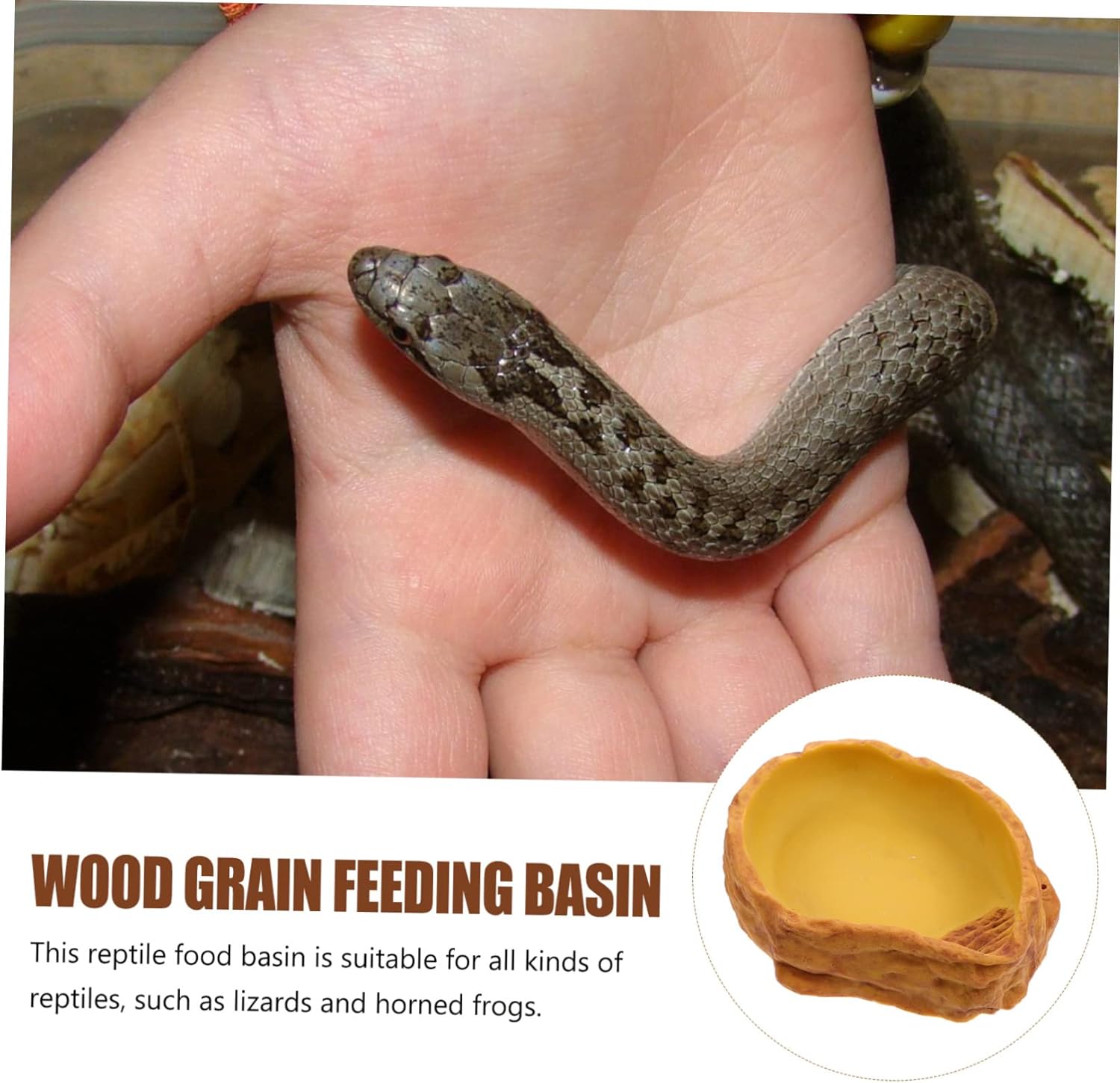 Tortoise Feeding Bowl Reptile Tank Decor Horned Frog Accessory Pet Water Bowl Simulated Rock Basin