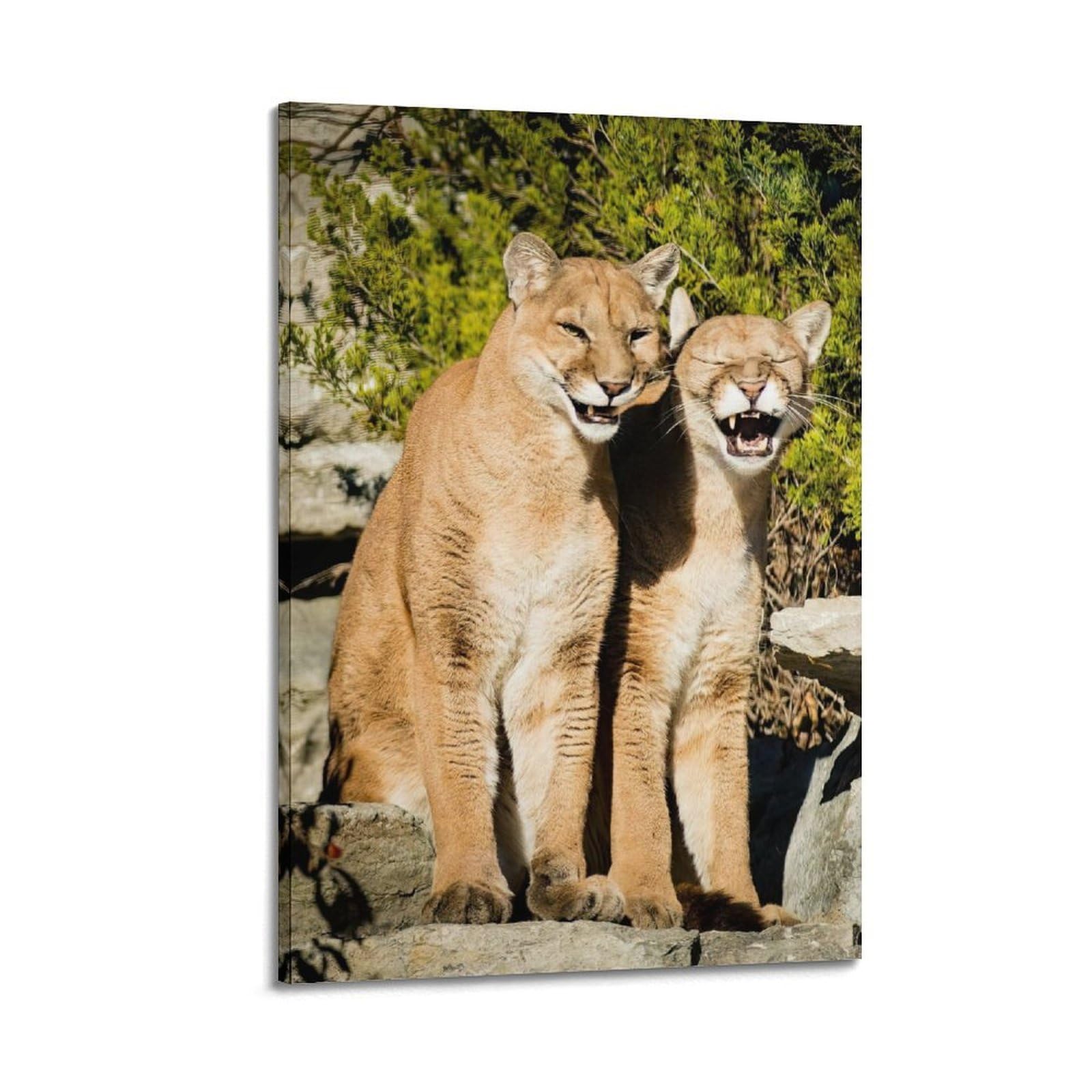 XKUGA Wild Felines Poster Cougar Big Cat Habitat Modern Decorative Canvas Prints - Ideal Wall Art for Family, Man Cave, Game Room, Boys & Girls Bedroom 20x30inch(50x75cm)