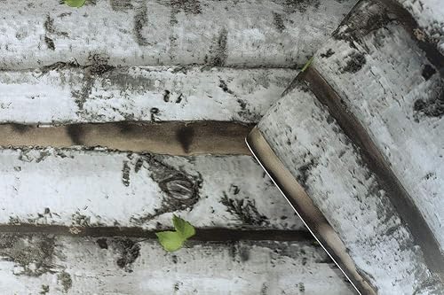 Miniatura 4 de HAOKHOME Papel tapiz de bosque para despegar y pegar, madera de abedul, extraíble, gris/marrón/verde, papel adhesivo de vinilo autoadhesivo de 17.7