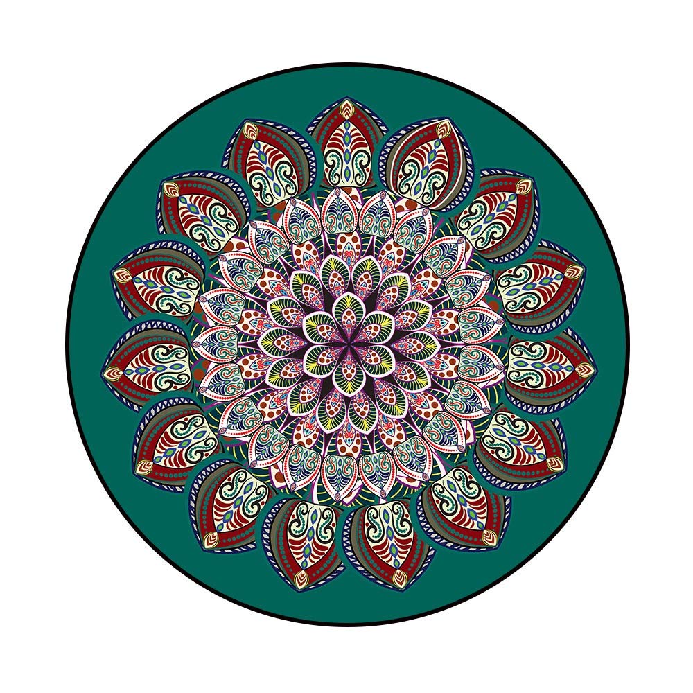 Tapis salon rond antidérapant 80cm pour protéger le sol