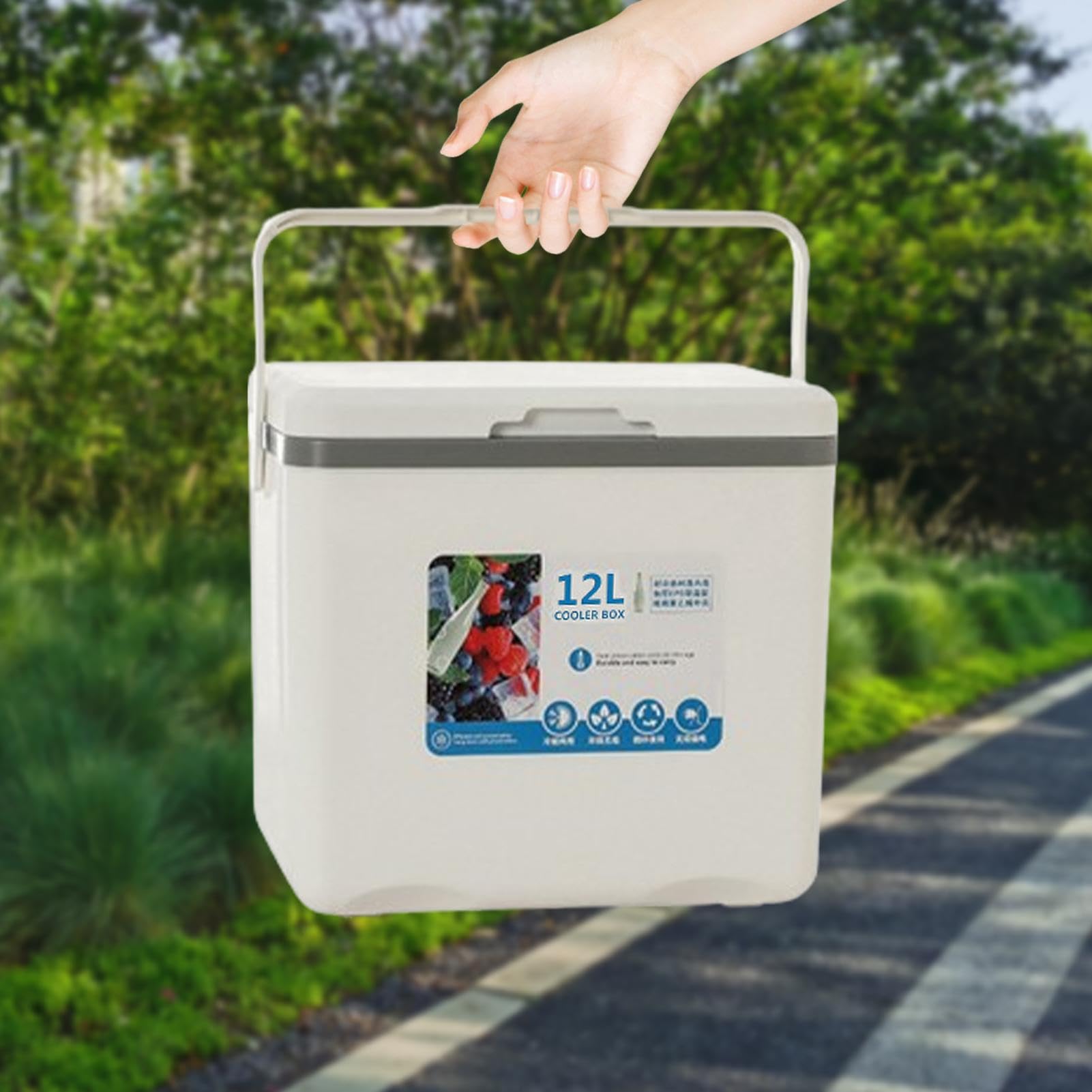 Contenitore isolato per alimenti freddi, 12 l, contenitore per alimenti caldi e freddi, contenitore per pesci da picnic, per frutta, latte materno, succhi di frutta, bevande, latte