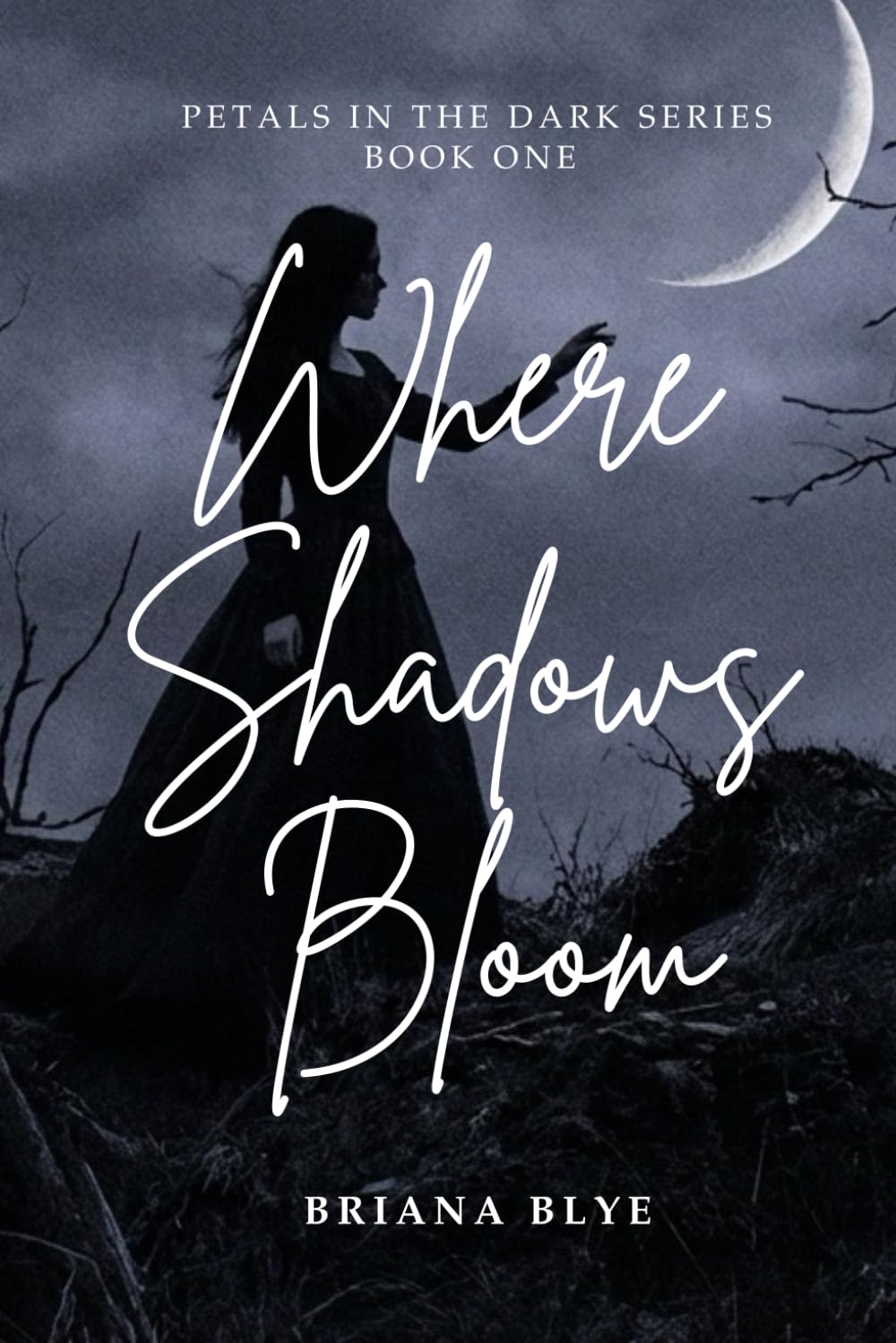 Where Shadows Bloom: 1 (Petals in the Dark)