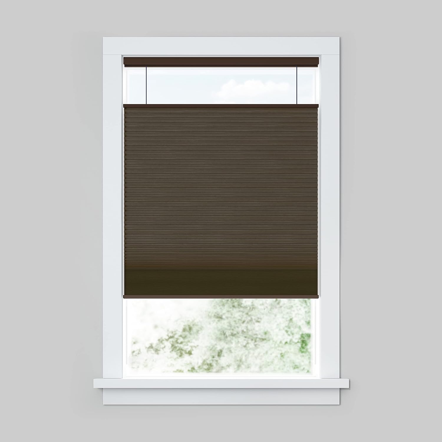 LEVOLOR Custom Cordless Top Down Bottom Up Light Filtering Cellular Window Blind Shade, Allure Collection (Espresso)