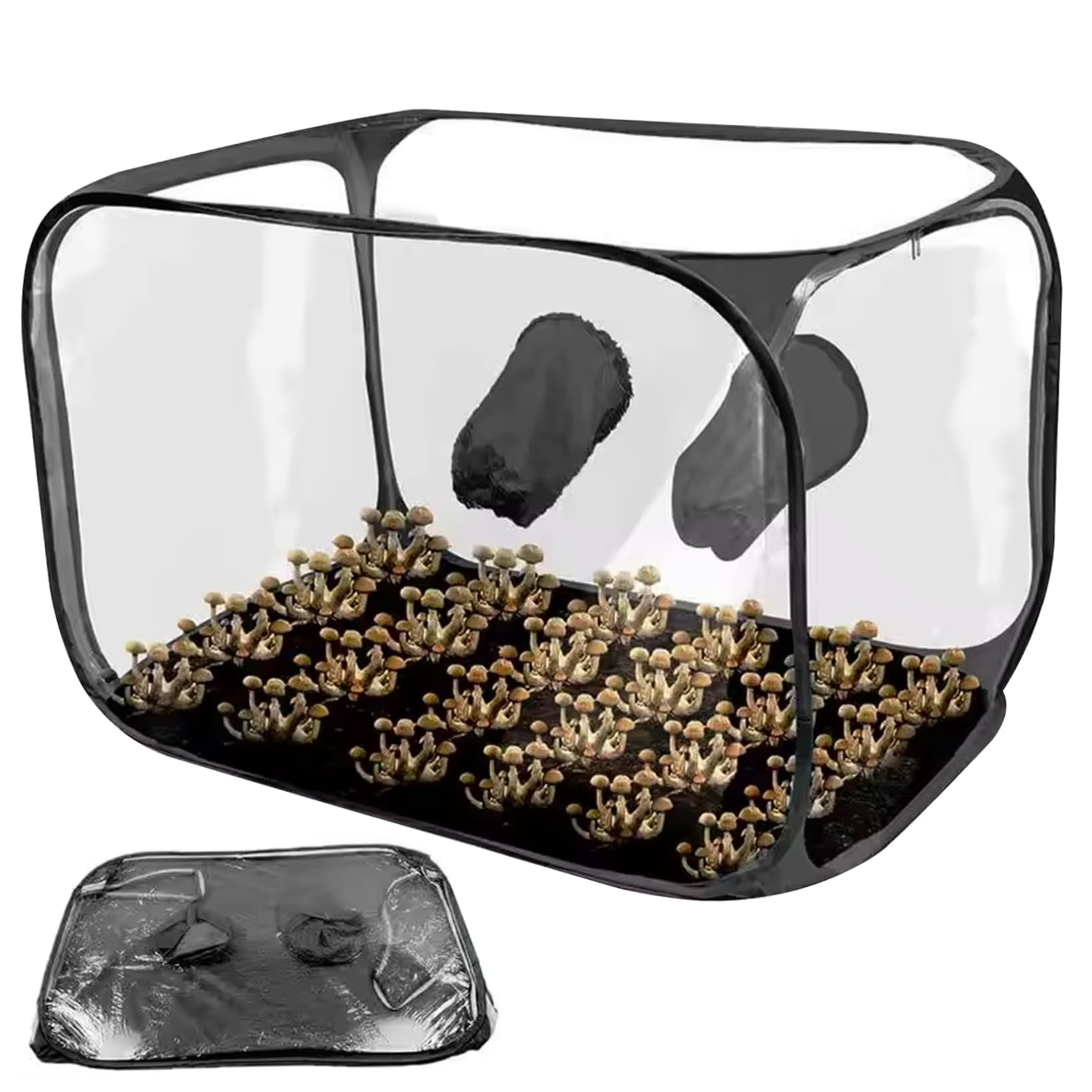Kit de culture de champignons tente pliable 24x24x35 pouces en plastique à 2 trous