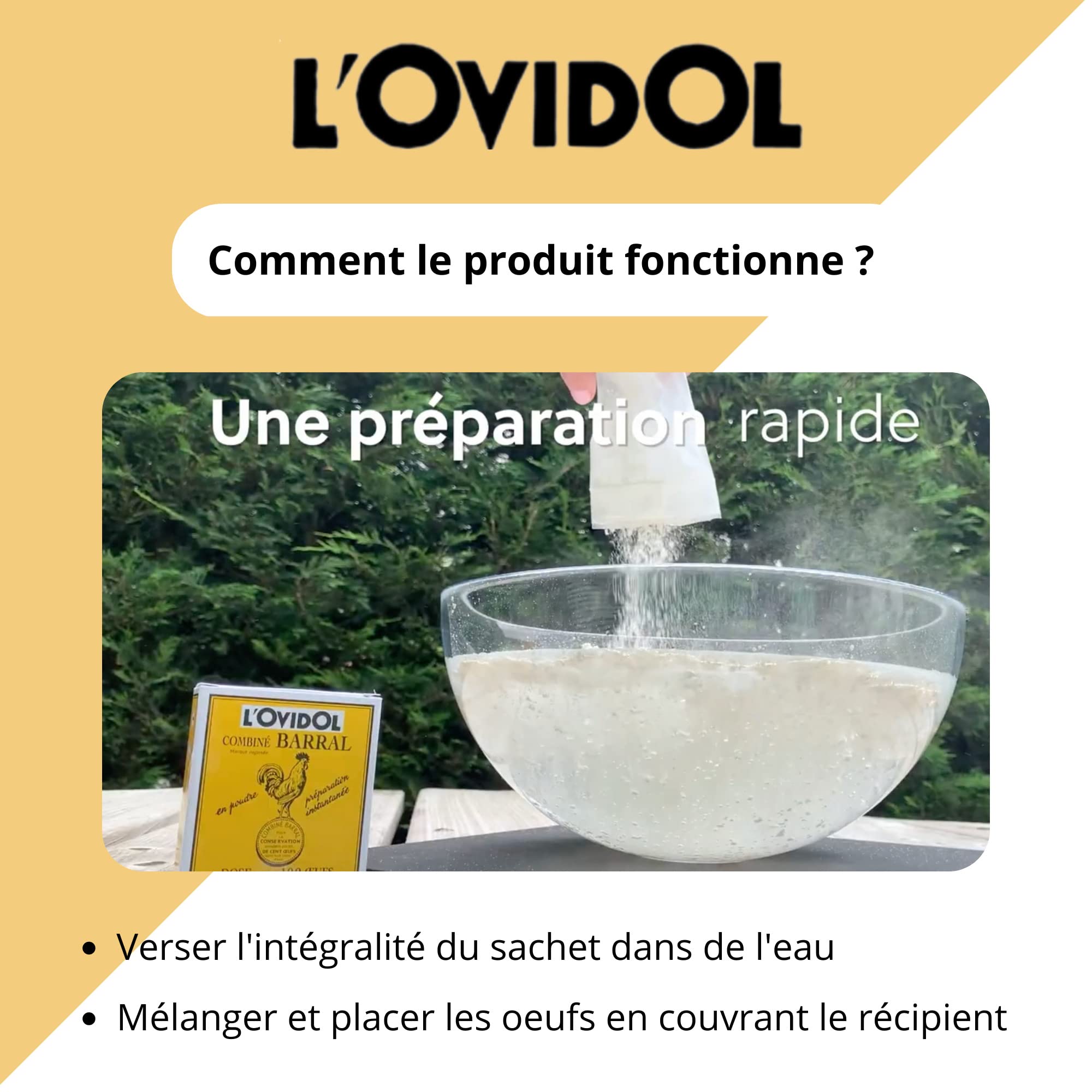 Ovidol – 100 huevos conservados hasta 1 año – Polvo para diluir – Producto patentado – Huevos comestibles después de la conservación – Gallinero – Enclos Poulailler – Made in France (5 cajas + 1