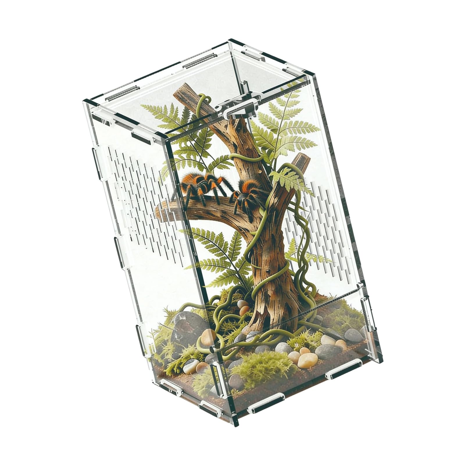 Terrarium reptiles boîte d'élevage réservoir ventilé sécurisé