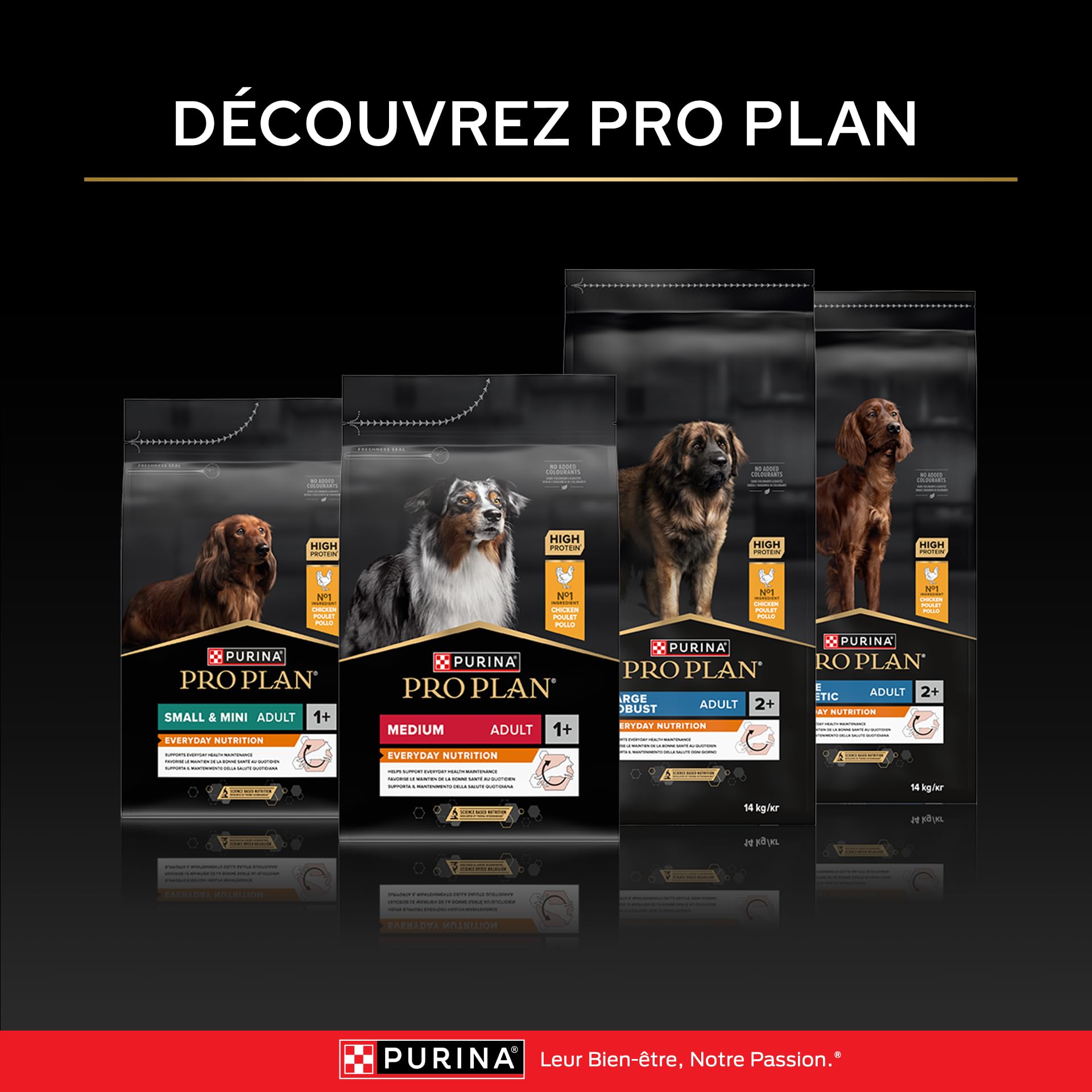 Purina Pro Plan Sensitive Digestion - Croquettes Chien Moyen Agneau - 16 kg | Croquettes Chien Moyen Digestion Sensible Saveur Agneau - Microflore renforcée via prébiotiques - Alimentation Chien