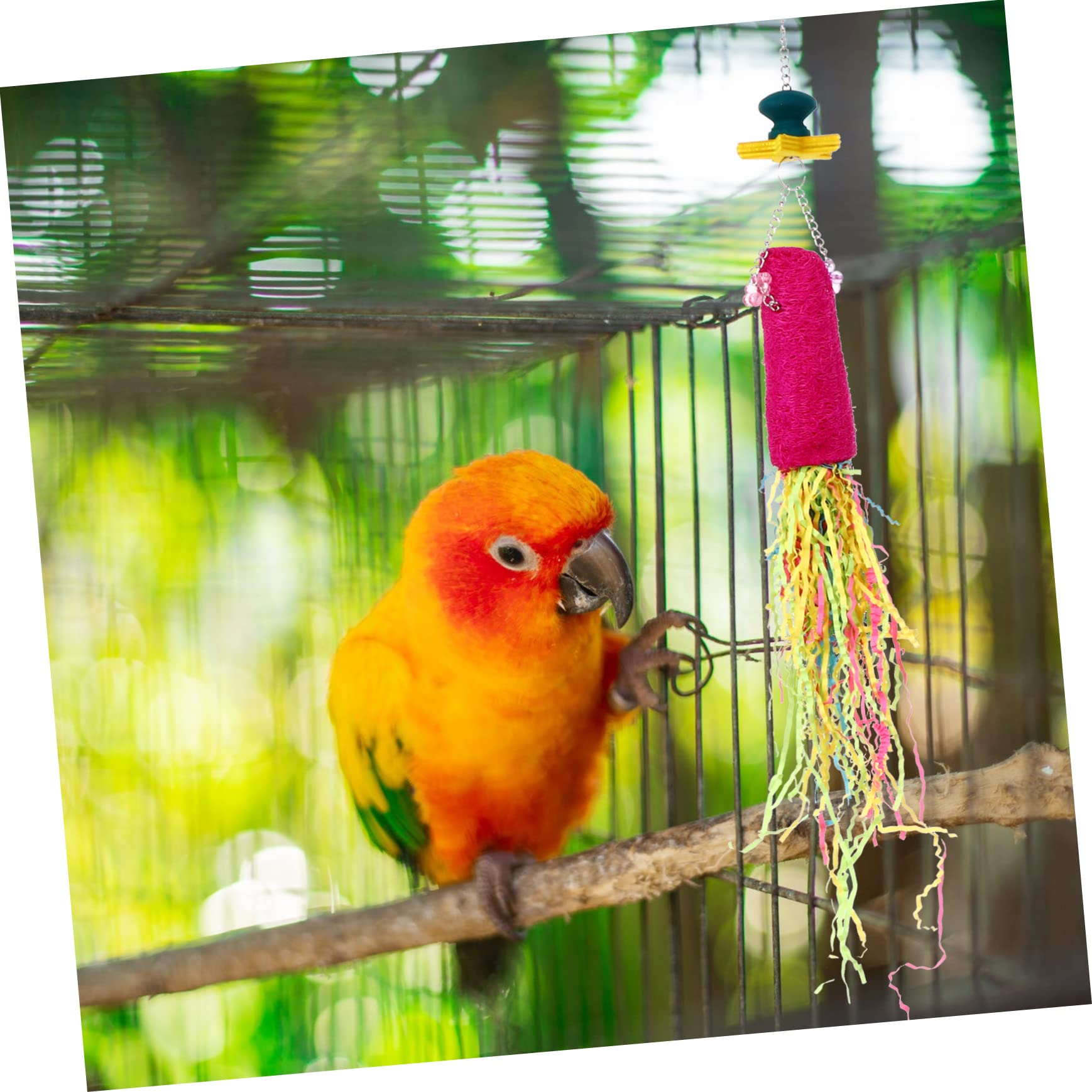 3 Piezas Juguetes Colgantes para Coloridos y Fáciles de Instalar para Masticar y Entretener Pájaros Interactivos como Agapornis Jaulas