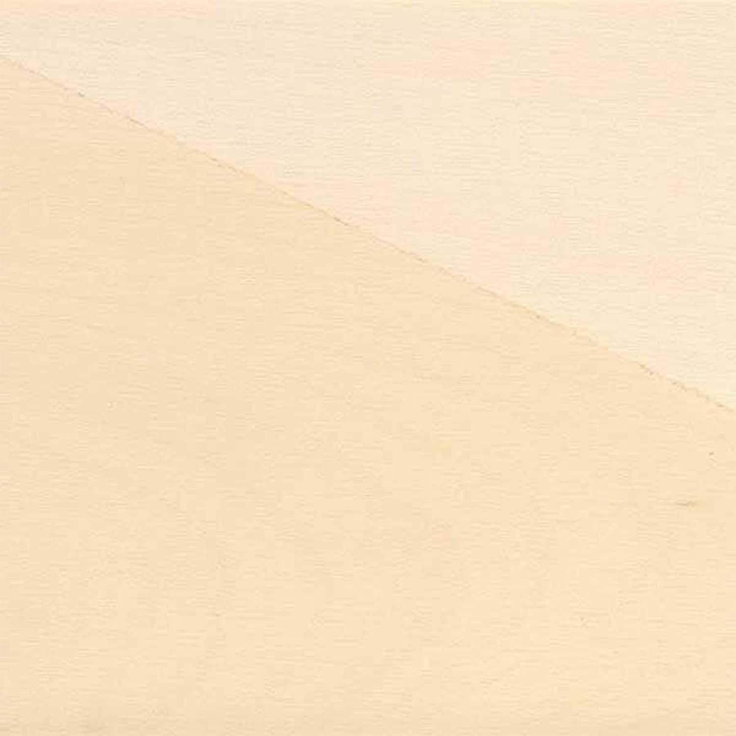 Woodcraft American Holly Wood Pen Blank - 3/4" X 3/4" X 5" 5-Piece