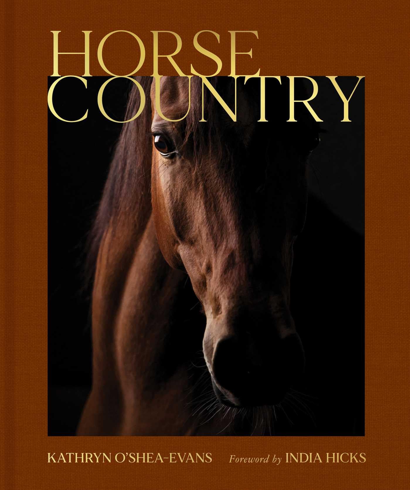 Horse Country by Kathryn O'Shea-Evans Equestrian Photography horses art equine
