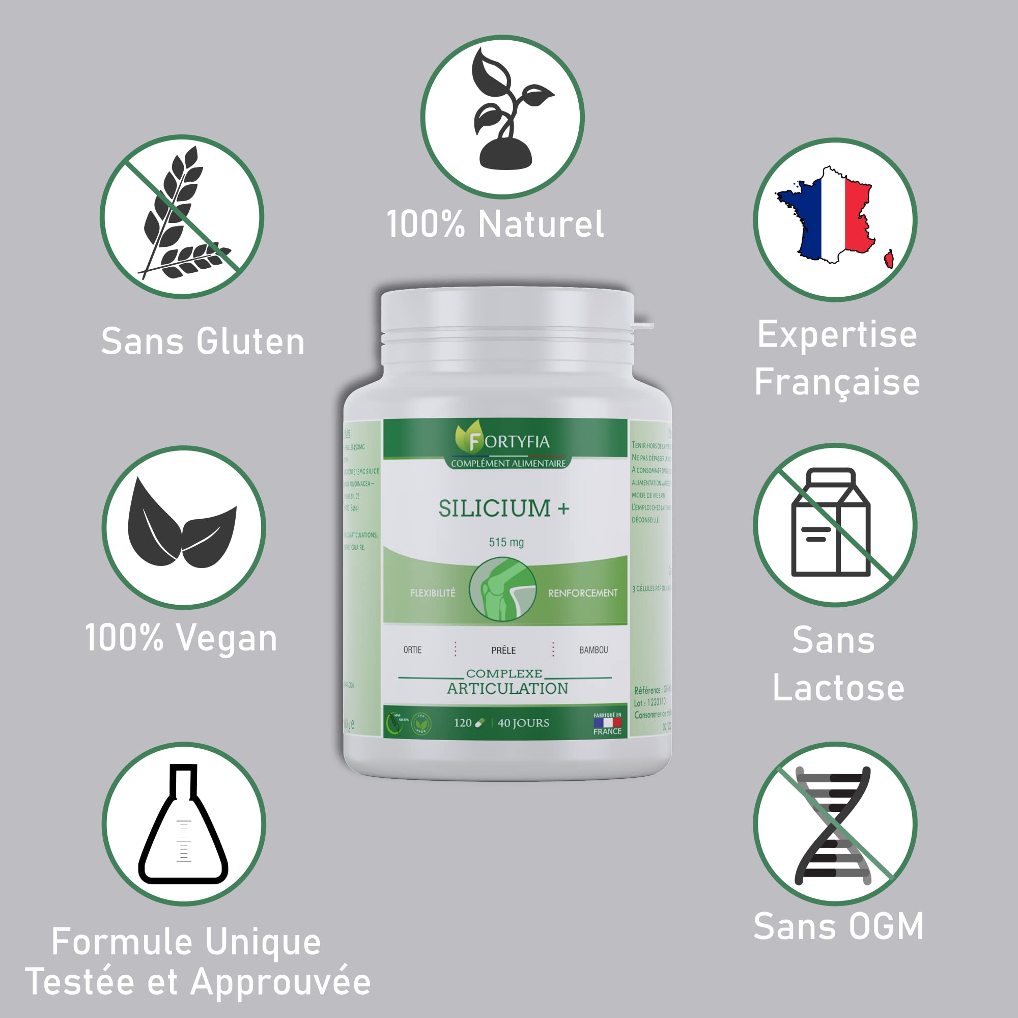 SILICIUM + | COMPLEXE ARTICULATIONS | FLEXIBILITÉ | RENFORCEMENT | Ortie piquante, Prêle, Bambou | 120 Gélules | FORTYFIA | Fabriqué En France