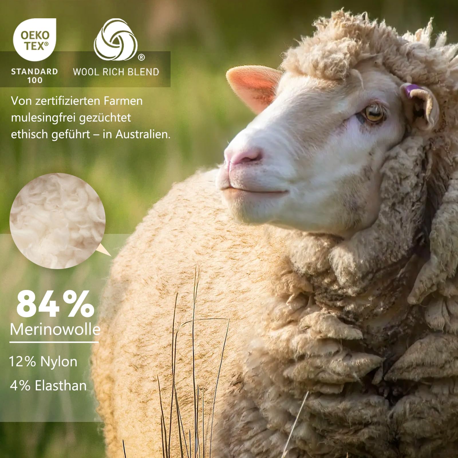 Merino Protect Męska koszulka z wełny merynosowej Anti-odor funkcjonalna lekka termiczna do uprawiania turystyki pieszej i podróży, Czarny (Black), M