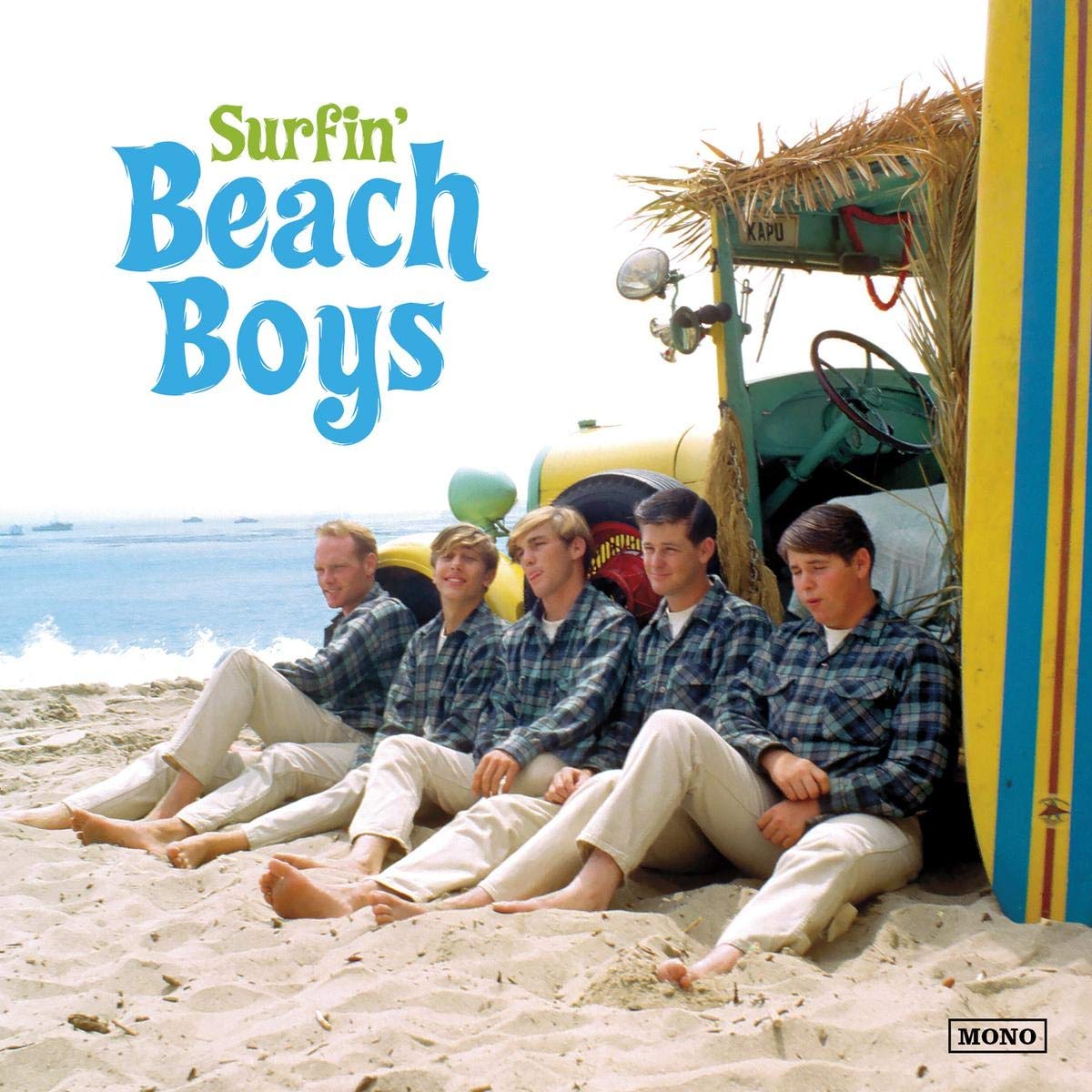 SURFIN' [VINYL]