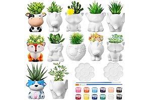 Hushee 12 DIY Ceramic Succulent Pots for Kids Arts and Crafts