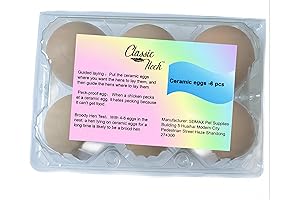 Poultry Artificial Eggs: The Smartest Way to Guide Chickens' Laying Habits