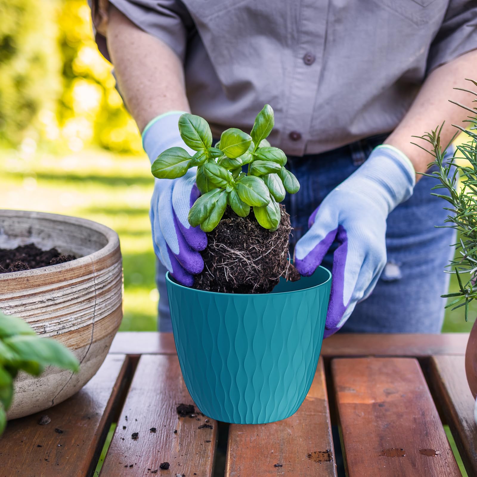 Amazon.com: WSMKSZ 6 inch Plant Pots, 5 Pack Flower Pots with Drainage  Holes and Saucers for Indoor Plants, Plastic Planters with Water Ripple for  Small Garden House Plants, Nursery Pots for Succulent,