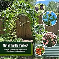 GZYF 2PCS 7.9FT Rustproof Metal Wedding Garden Arch Arbor Trellis for Climbing Plants, Parties, Indoor Outdoor Decor (Green)