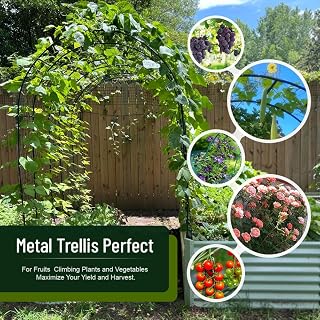 GZYF 2PCS 7.9FT Rustproof Metal Wedding Garden Arch Arbor Trellis for Climbing Plants, Parties, Indoor Outdoor Decor (Green)