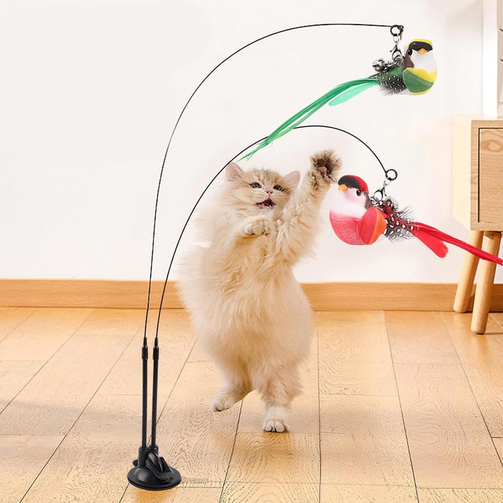 gioco gatto uccellino che vola