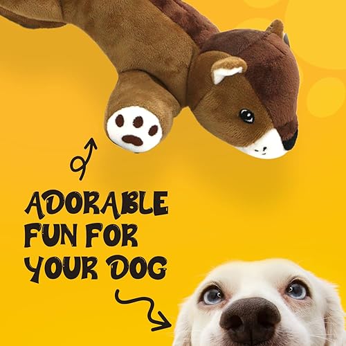 Miniatura 9 de Dog Dog Juguete masticable de ardilla grande y gorda con chirriante y piel suave y tela duradera con cola esponjosa, aspecto sorprendido para