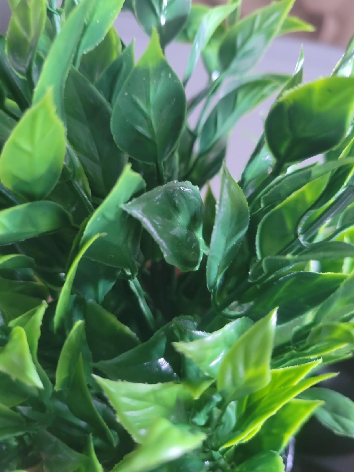 2/mo Finance Der Rose Fake Plants 4 Packs Artificial Plants Small