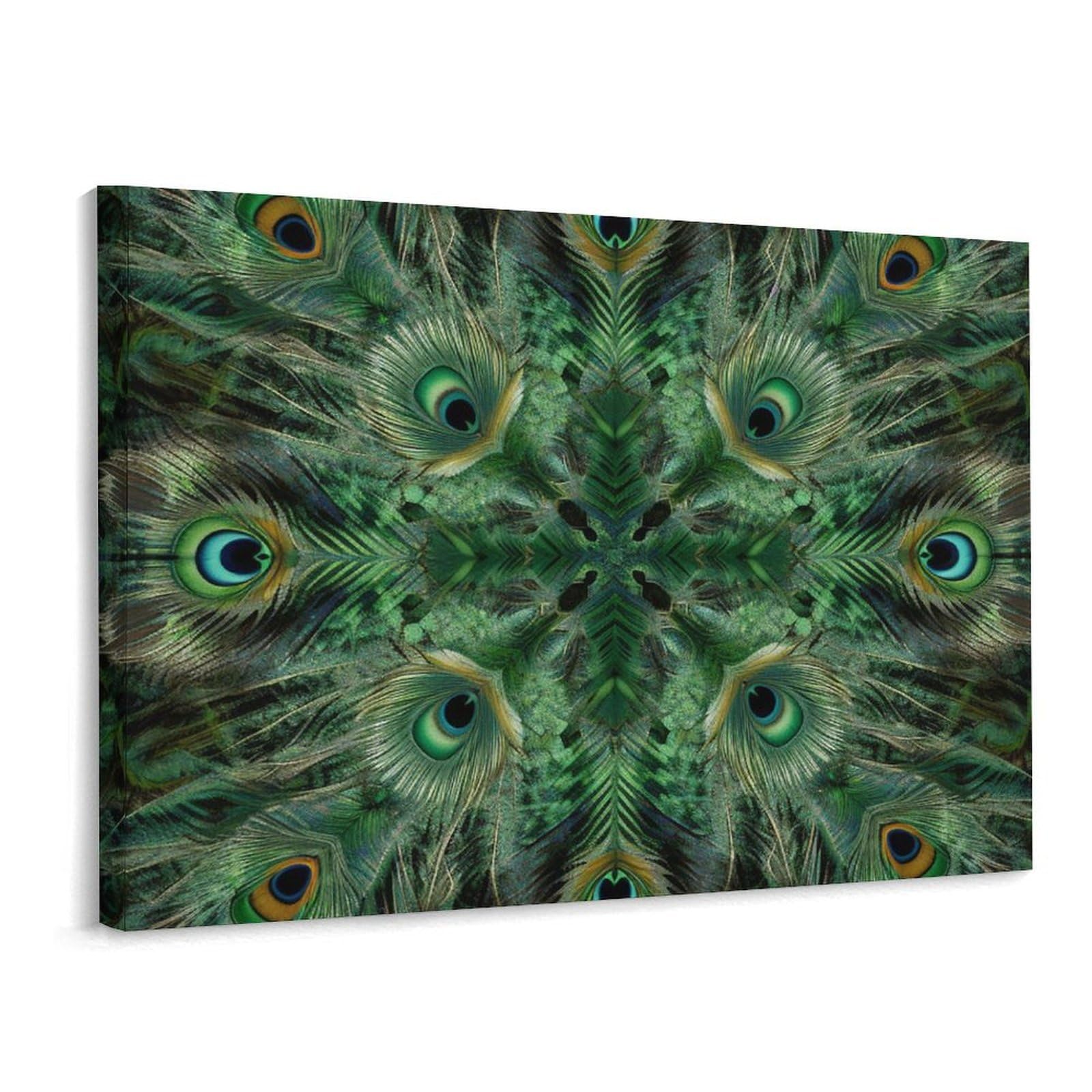 Canvas Wall Art for Living Room Prints Aesthetic Poster Canvas Paintings Prints Symmetrical Feathers Pictures ArtWork Office Wall Decor Modern Abstract Wall Art for Bedroom Home Decor 30x40 Cm