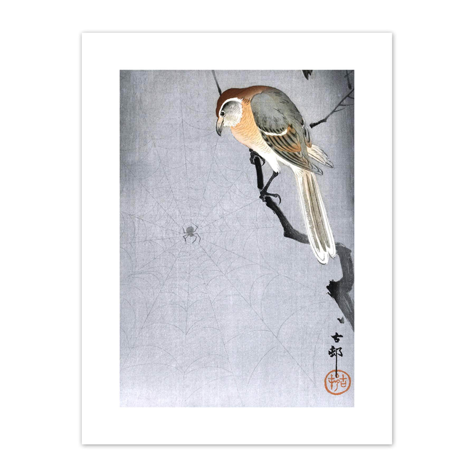 Wee Blue Coo Buffalo Shrike Spider Ohara Koson Art Print Canvas Premium Wall Decor Poster