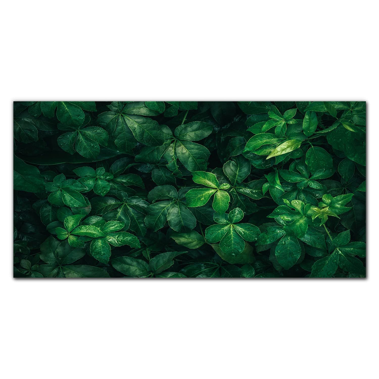 Panneau de protection murale cuisine Coloray en verre trempé floral facile à poser