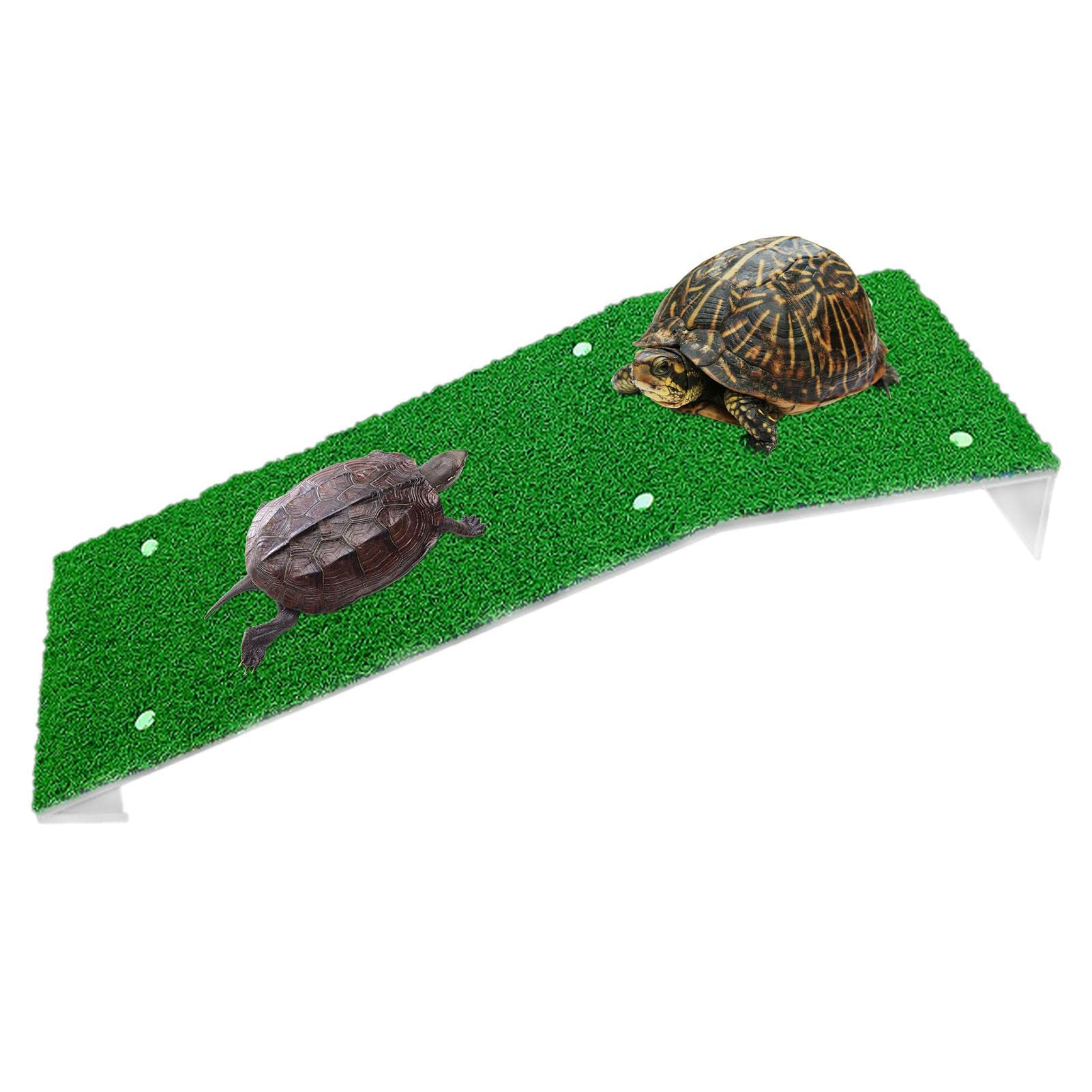 Piattaforma Galleggiante Per Tartarughe Sheens - Con Rampa E Ventosa Per Acquari