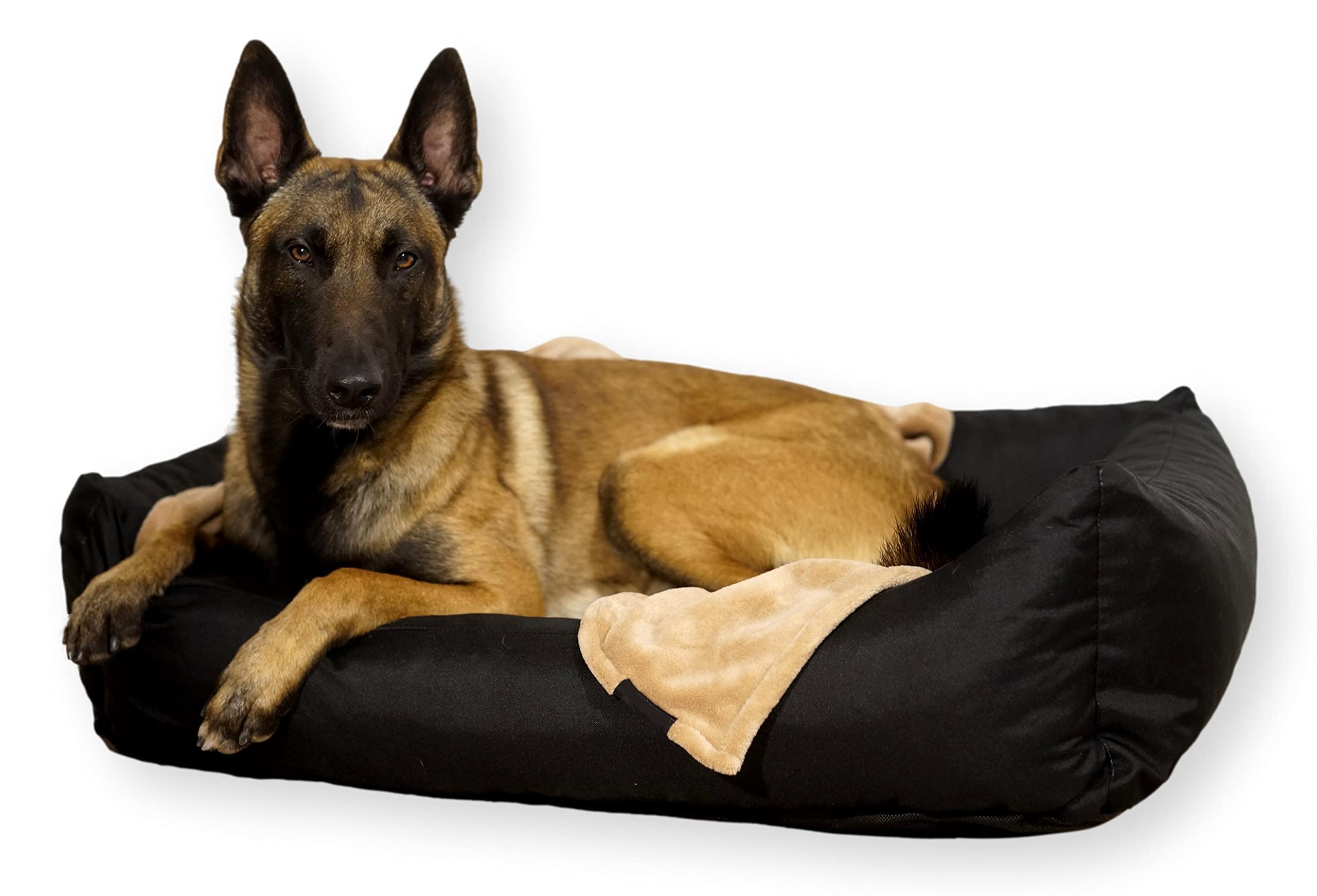 4L Textil Otto Cama Perro Grande, cojín para Perros, Cama para Perros, Funda extraíble Perros, para Perros Impermeable, Mullido cojín Grande, colchón Perro (100x80 cm, Negro)