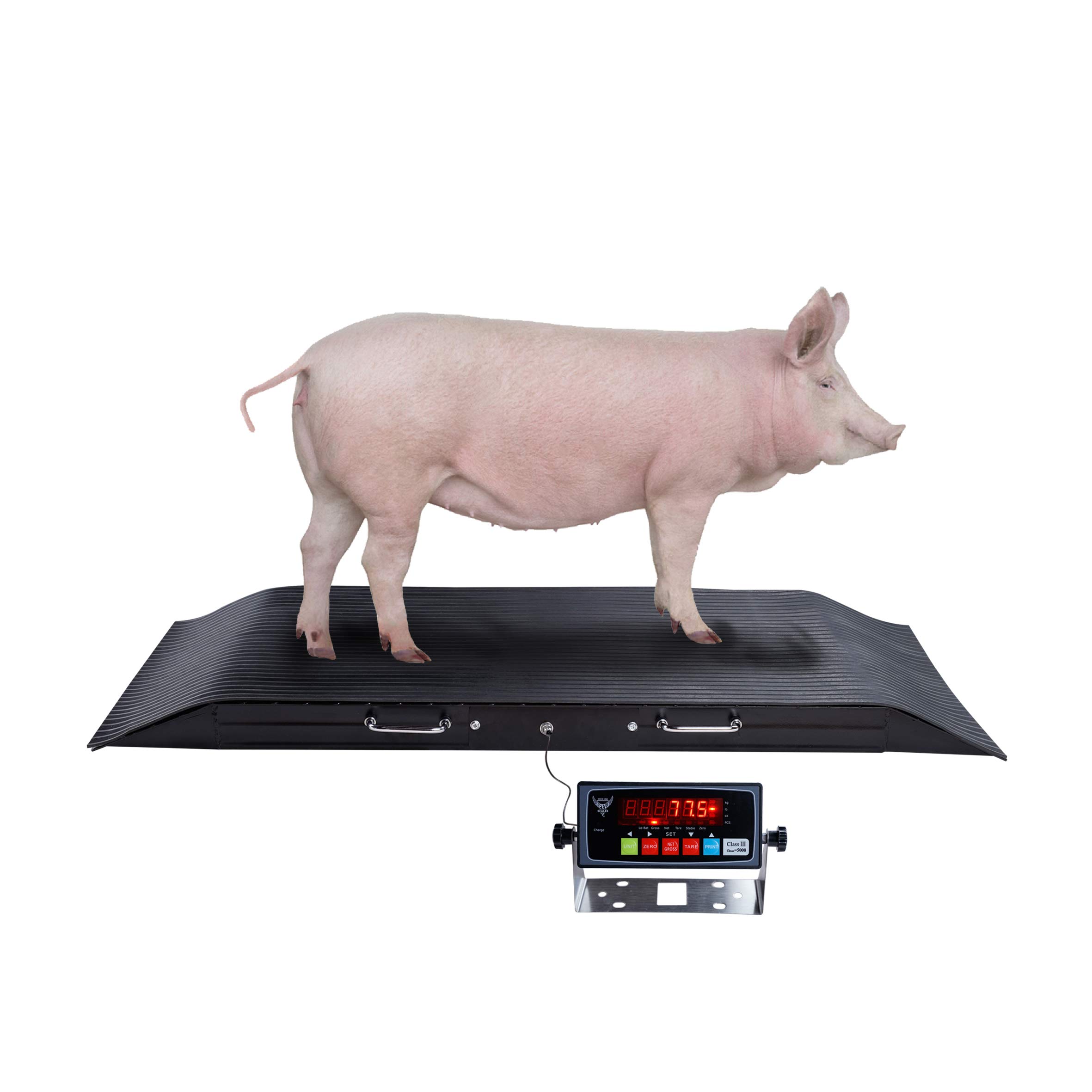 Buy PEC Small Medium Livestock Scale, 2000 lb Animal Scales for Farm
