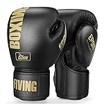 FIVING Boxing Gloves for Men and Women Suitable for Boxing Kickboxing Mixed Martial Arts Muay Thai MMA Heavy Bag Training