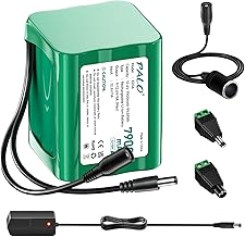 12.6V 7900mAh DC Battery for 12V Devices, Connection Cable, Power Adapter and Power Adapter for LED Strips, MP3 Players, Router, DIY, DVD