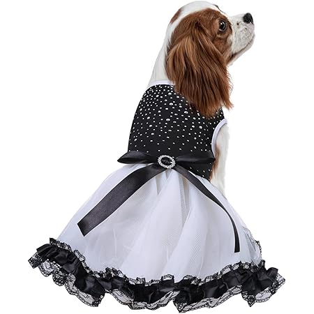 Hundekleid Prinzessin Brautkleid - Niedliches Kostüm Für Hunde & Katzen