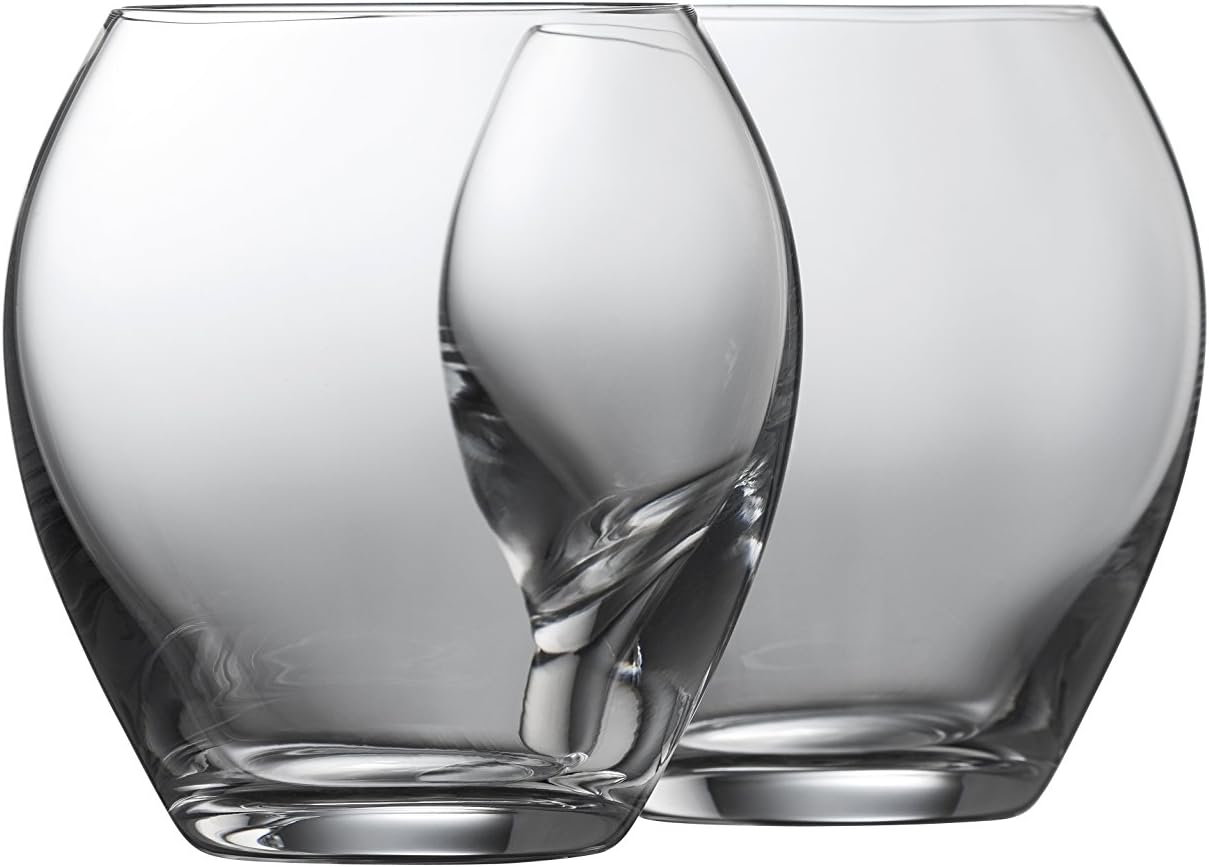 Galway Crystal Clarity Tumbler (Set of 2), Crystal, 9.4 x 9.4 x 10.3 cm