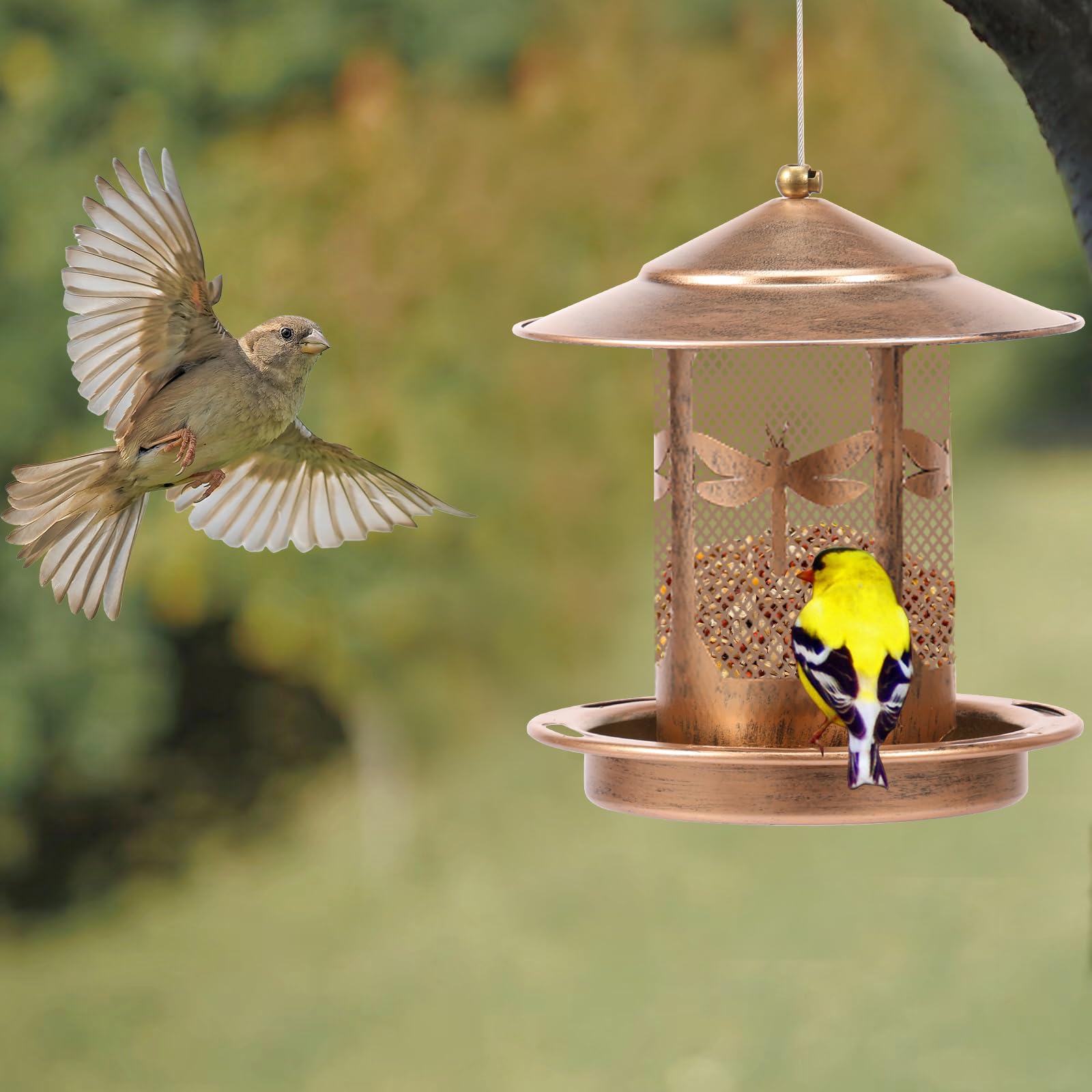 Squirrel Proof Hanging Bird Feeder for Small Birds Metal Outdoor Wild Seed Bird Feeder with Drainage Hole Garden Ornaments Hanging Birdhouses for Backyard, Patios, Decks and Lawns