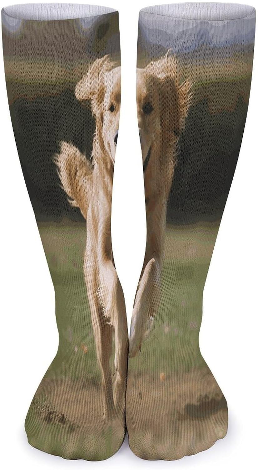 Golden Retriever Running Stocking - Cute Casual Long Athletic,Crew Sock for Men Women,Running Socks Soft Breathable for Gift