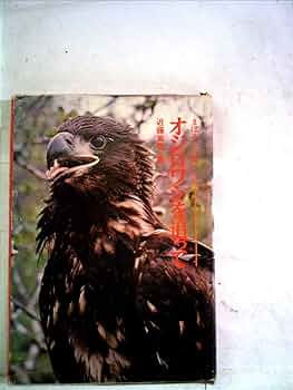 まぼろしの鳥—オジロワシを追って 71LtTd4QMAL._UF350,350_QL50_.jpg